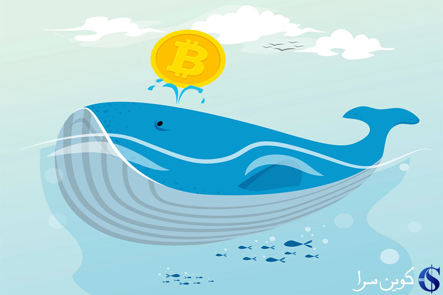 انتقال بیش از 130 هزار بیت کوین به ارزش 1.3 میلیارد دلار توسط یک نهنگ ناشناس