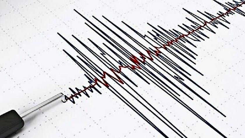 4.6 magnitude earthquake hits Kerman province of Iran