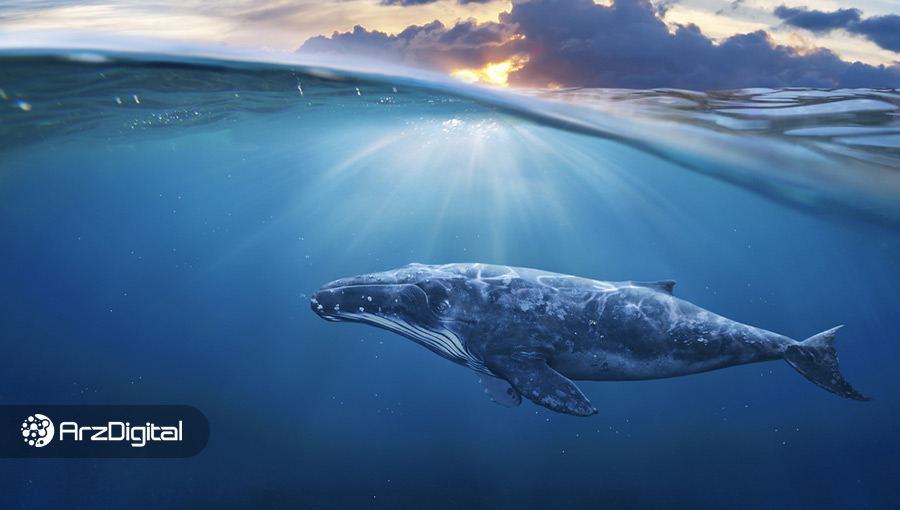 سومین نهنگ بزرگ شبکه اتریوم اخیراً چه توکن‌هایی خریده است؟