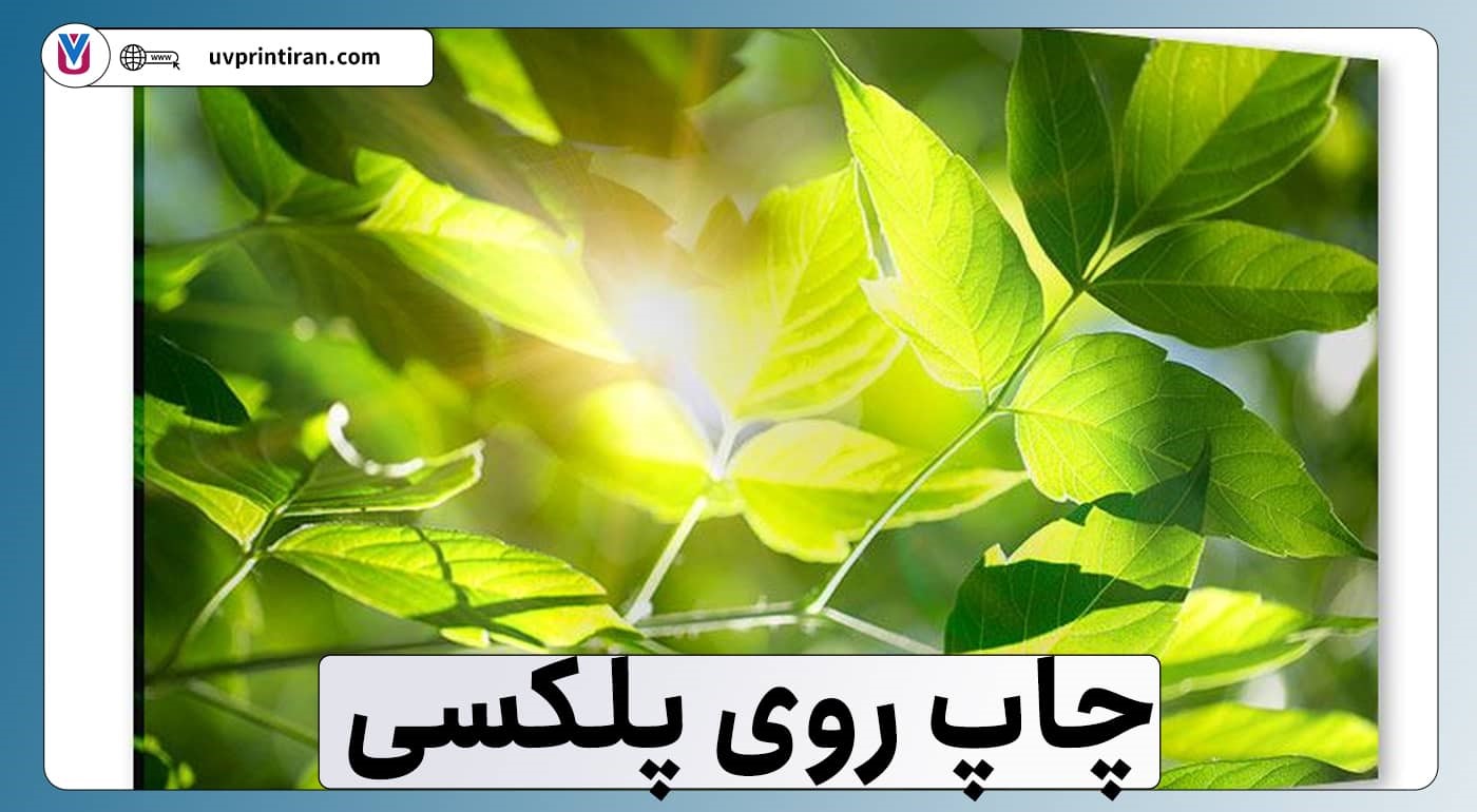آشنایی با انواع چاپ و خدمات چاپ یووی پرینت ایران