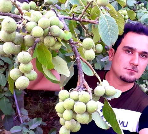 با رکورددار تولید نهال در شیراز آشنا شوید