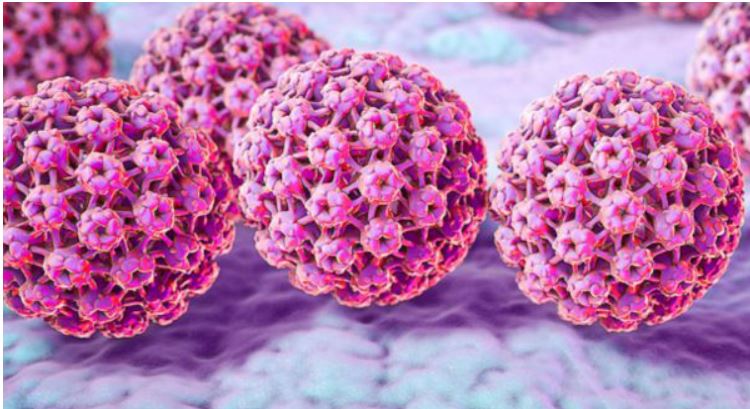 زگیل تناسلی HPV و چگونگی انتفال