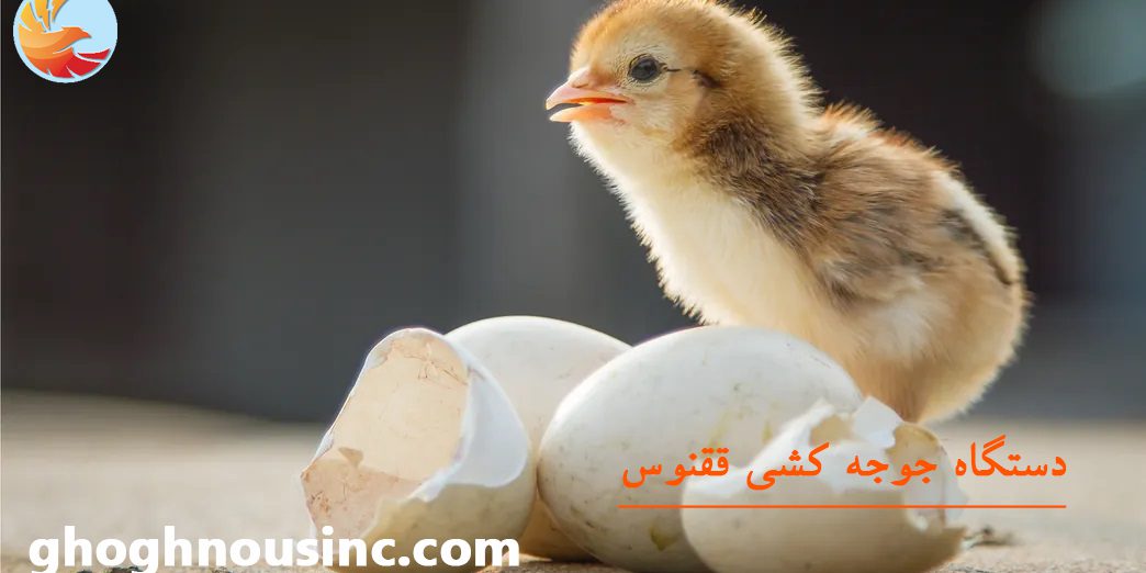 دستگاه جوجه کشی چیست