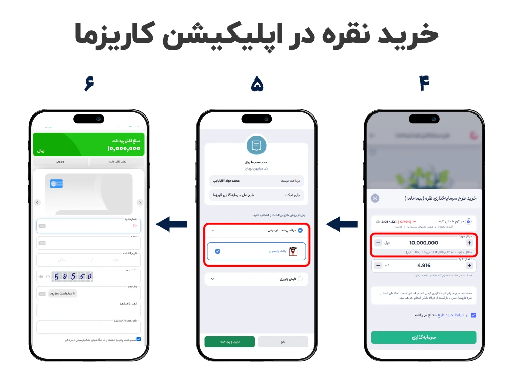 سرمایه-گذاری در طرح نقره کاریزما