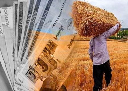 پرداخت ۹۳ هزار میلیارد تومان مطالبه گندمکاران انجام شد