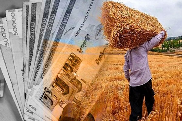 پرداخت ۹۳ هزار میلیارد تومان مطالبه گندمکاران انجام شد