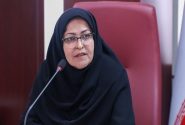 انصاری: تسهیل صادرات برای تولیدکنندگان قانون‌مدار اجرایی می‌شود