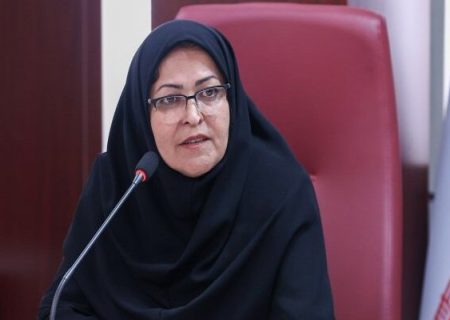 انصاری: تسهیل صادرات برای تولیدکنندگان قانون‌مدار اجرایی می‌شود