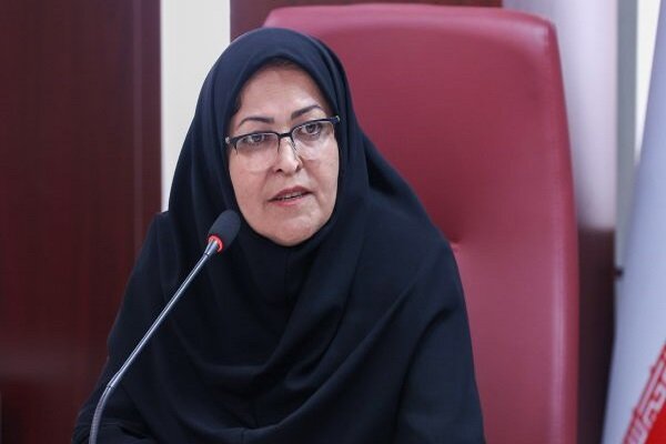 انصاری: تسهیل صادرات برای تولیدکنندگان قانون‌مدار اجرایی می‌شود